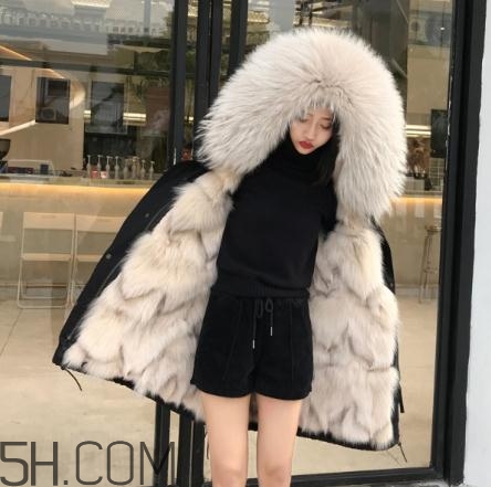 派克大衣內(nèi)膽什么毛好？派克服什么內(nèi)膽好？