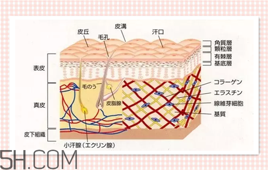 水光針可以祛斑嗎？涂抹式水光針的效果好嗎？