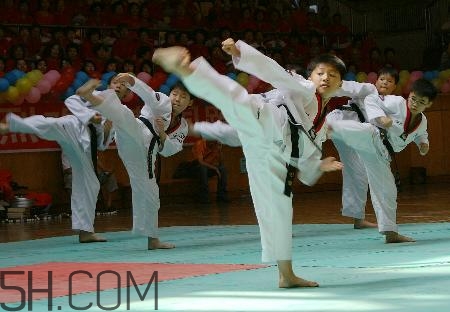 武術(shù)和跆拳道哪個(gè)對(duì)孩子好？武術(shù)和跆拳道的區(qū)別在哪里？