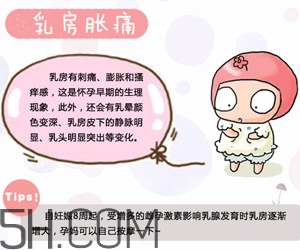 懷孕了應(yīng)該如何調(diào)理？懷孕了如何根據(jù)體質(zhì)調(diào)養(yǎng)？