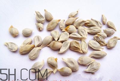 不小心吃了橘子籽怎么辦？橘子籽可以生吃嗎？