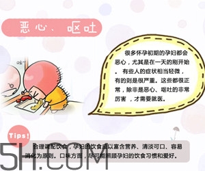 懷孕了應(yīng)該如何調(diào)理？懷孕了如何根據(jù)體質(zhì)調(diào)養(yǎng)？