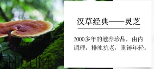 羽西小鮮瓶安瓶怎么用？羽西小鮮瓶安瓶怎么樣