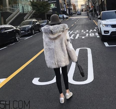 十字貂和水貂哪個(gè)好？十字貂和水貂哪個(gè)貴？
