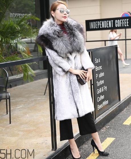 丹麥貂好還是美國貂好？丹麥貂和美國貂的區(qū)別