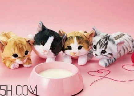 you more是什么牌子？YOU MORE是哪國的什么檔次