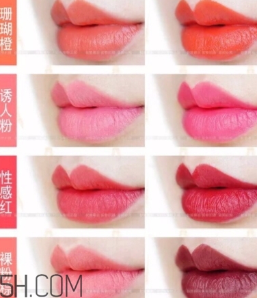 唇膏盤怎么用？口紅盤怎么用法