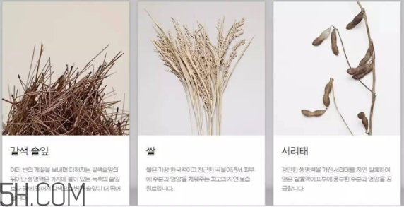 韓律護(hù)膚品怎么樣？韓律全系列介紹