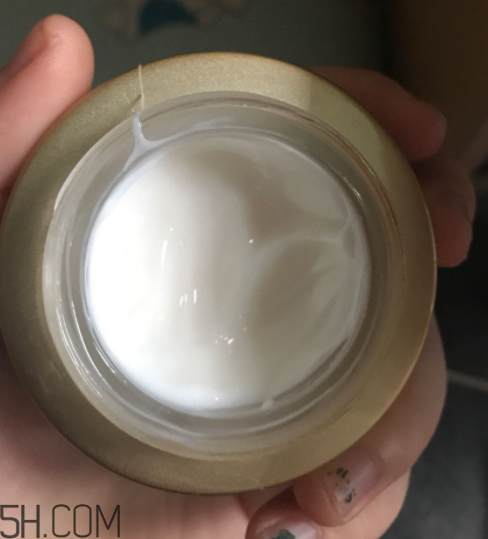 詩婷露雅蝸牛面霜適合秋冬嗎？適合油皮嗎？