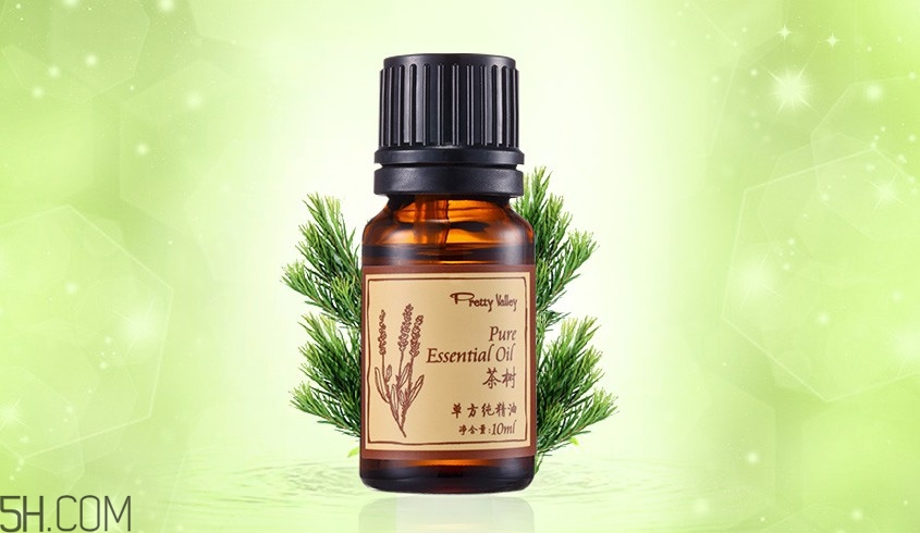 茶樹精油可以直接涂在臉上嗎？茶樹精油的功效與作用？