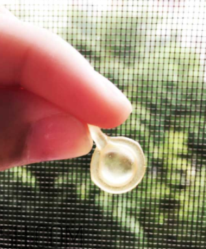 伊麗莎白雅頓眼部精華液怎么打開？怎么保存？