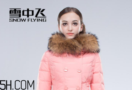 最貴的羽絨服什么價格？羽絨服什么牌子的好？