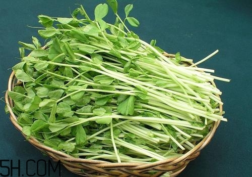 女性吃什么能瘦臉？能瘦臉的食物有哪些？
