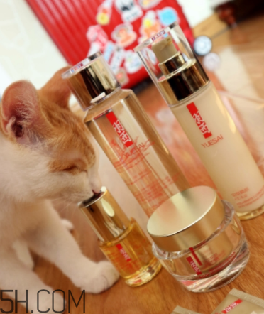 羽西蟲草新肌水有什么功效？適合什么膚質(zhì)？