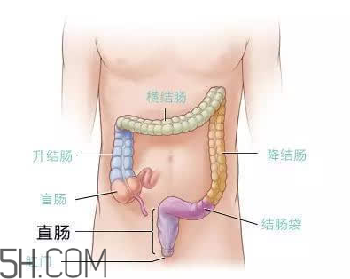 宿便有什么危害？如何清除宿便？