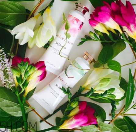 linden leaves香氛護(hù)手霜好用嗎？laura ashley護(hù)手霜好用嗎？