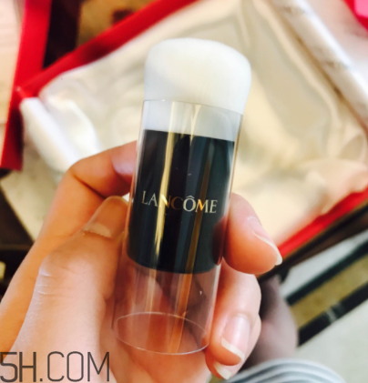 蘭蔻菁純氣墊粉底液110號色適合黃皮嗎？真人試色