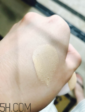 蘭蔻菁純氣墊粉底液110號色適合黃皮嗎？真人試色