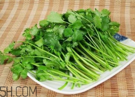 香菜根煮水怎么煮？香菜根煮水喝幾天見效？