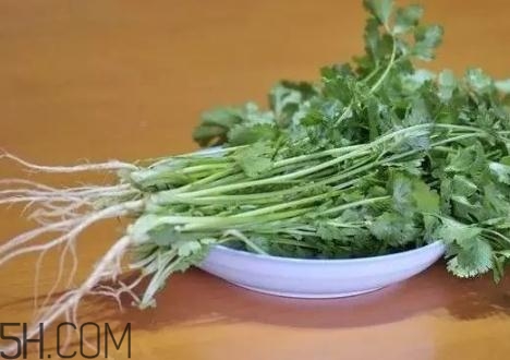 香菜根煮水能減肥嗎？香菜根煮水能天天喝嗎？