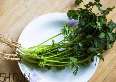 香菜根煮水能減肥嗎？香菜根煮水能天天喝嗎？