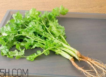 香菜根煮水能美白嗎？香菜根煮水能祛斑嗎？
