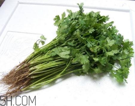 香菜根煮水能美白嗎？香菜根煮水能祛斑嗎？