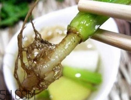 香菜根煮水能美白嗎？香菜根煮水能祛斑嗎？
