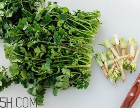 香菜根煮水能退燒嗎？香菜根煮水能治咳嗽嗎？
