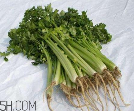 香菜根煮水能退燒嗎？香菜根煮水能治咳嗽嗎？