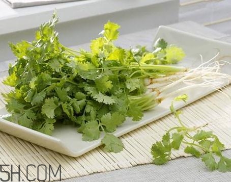 香菜根煮水能治濕疹嗎？香菜根煮水孕婦能喝嗎？