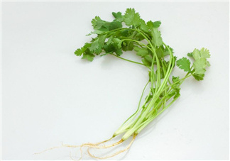 香菜根煮水能治濕疹嗎？香菜根煮水孕婦能喝嗎？