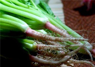 香菜根煮水能美白嗎？香菜根煮水能祛斑嗎？