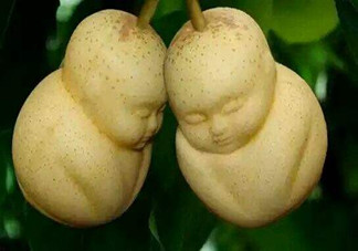 女人吃人參果有哪些好處？人參果的營養(yǎng)價值是什么？