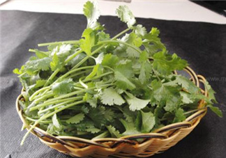 香菜根煮水能減肥嗎？香菜根煮水能天天喝嗎？