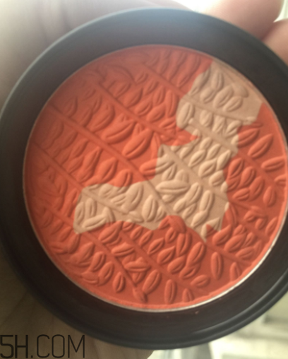 瑪麗黛佳腮紅怎么打？瑪麗黛佳腮紅怎么用？