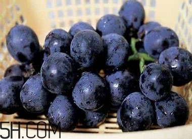 吃黑加侖對眼睛有什么好處？吃黑加侖要注意什么？