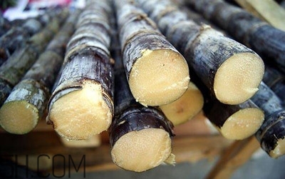 甘蔗和橙子能一起吃嗎？吃完甘蔗可以吃橙子嗎？