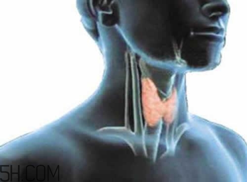 甲狀腺腫大和甲亢的區(qū)別有哪些？甲狀腺腫大適合吃什么食物？