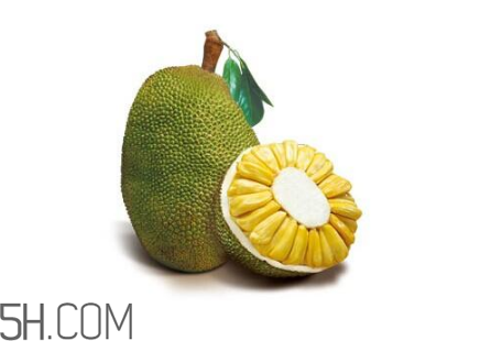 為什么吃菠蘿蜜拉肚子？吃菠蘿蜜拉肚子怎么辦？