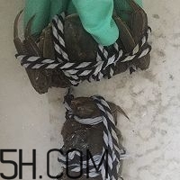 冬天可以吃大閘蟹嗎？冬天怎么吃大閘蟹？