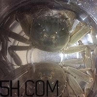冬天可以吃大閘蟹嗎？冬天怎么吃大閘蟹？