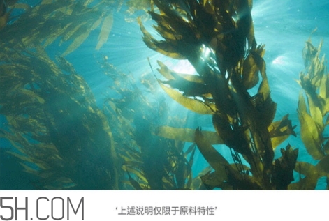 jmsolution珍珠面膜多少錢？jm珍珠面膜好用不過百元