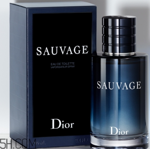 dior迪奧曠野男士淡香水好聞嗎？頻頻斷貨的魅力香水