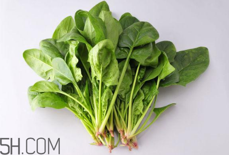 羊肉和菠菜能一起吃嗎？吃羊肉能吃菠菜嗎？