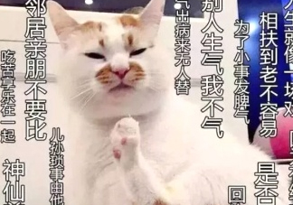 佛系妝是什么妝？佛系妝容輕松打造