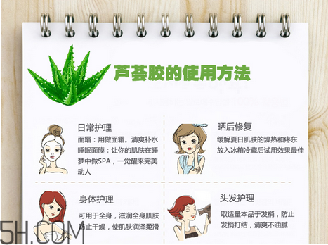 蘆薈膠的功效和作用有哪些？教你蘆薈膠的正確使用方法