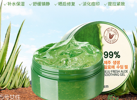 得鮮蘆薈膠含酒精嗎？蘆薈膠當睡眠面膜的作用