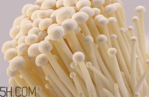 金針菇的食用禁忌有哪些？金針菇四大禁忌