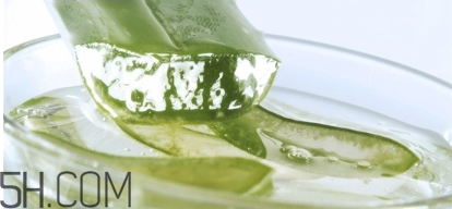 擠痘痘后可以涂蘆薈膠嗎？涂抹維生素e和蘆薈膠的作用